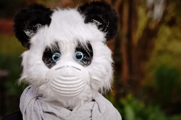 Casino of Dreams Ondersteuning